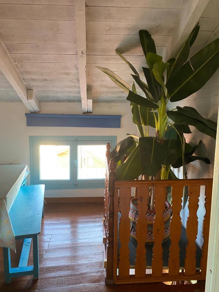 Ferienwohnung Madera Y Mar Isla Plana Exterior foto