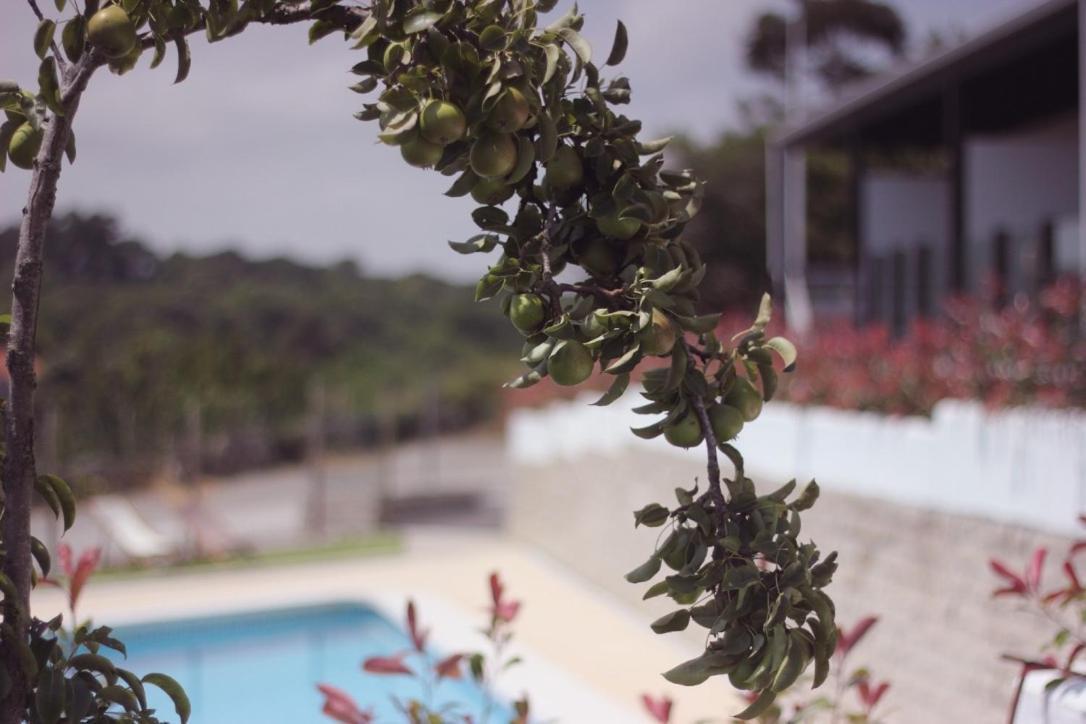 Ferienwohnung Madera Y Mar Isla Plana Exterior foto