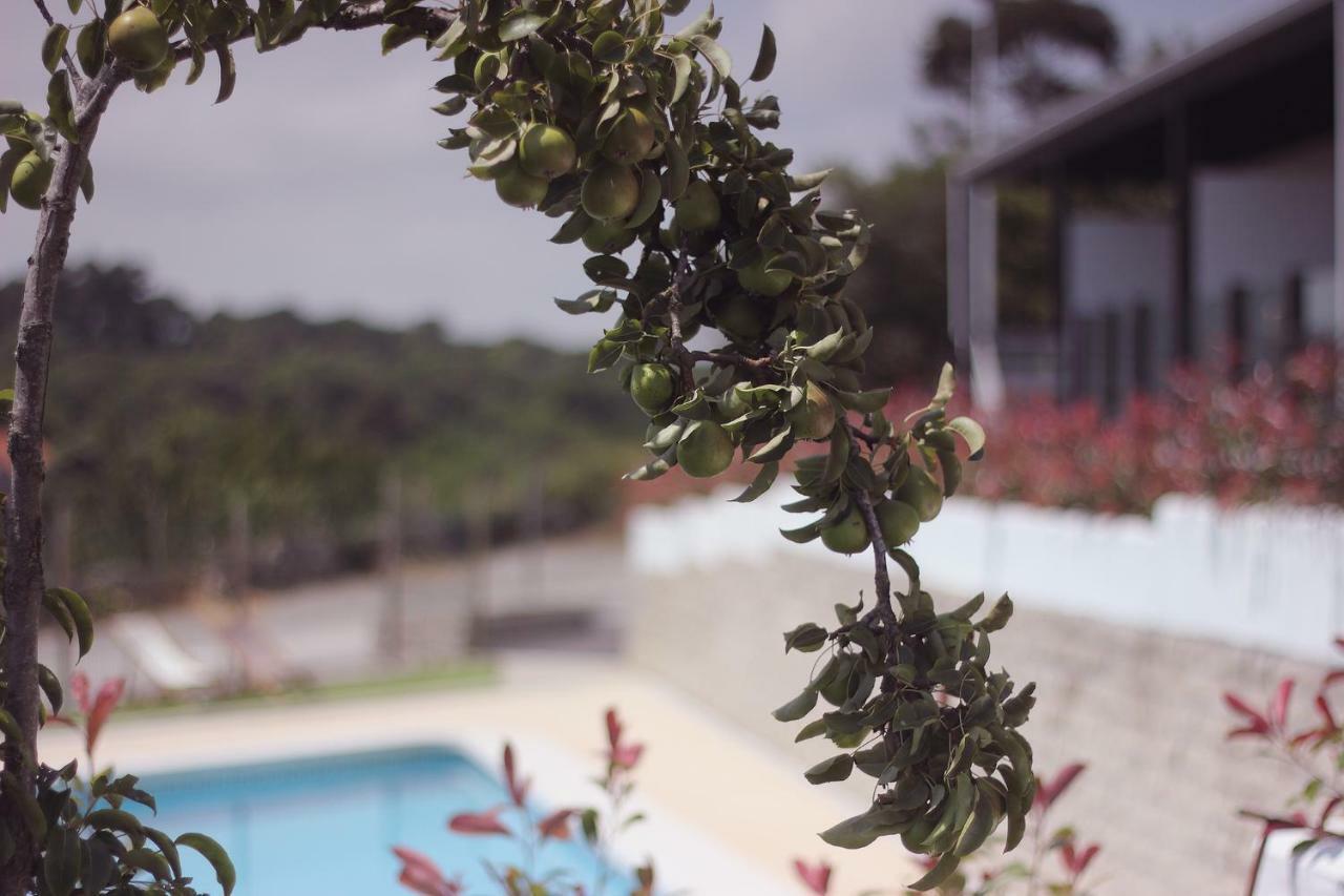 Ferienwohnung Madera Y Mar Isla Plana Exterior foto